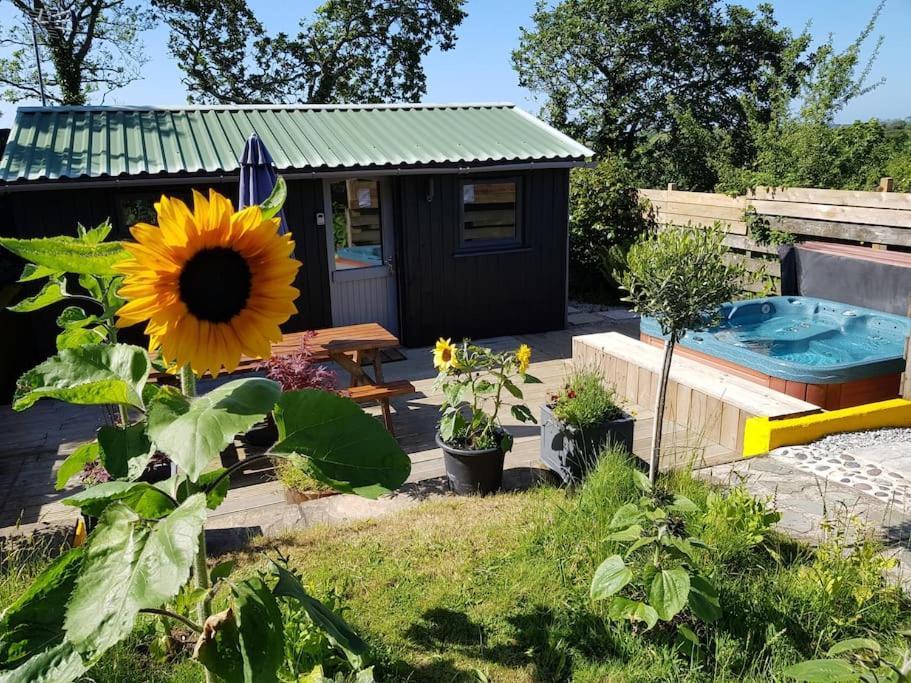 The Old Potting Shed With Hot Tub. Colan, Newquay. Apartment New Quay Екстериор снимка